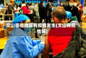 文山哪些地区有疫情发生(文山有疫情吗)
