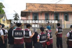 辽宁支援过哪里疫情地区(辽宁援建哪里)