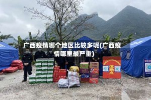 广西疫情哪个地区比较多呢(广西疫情哪里最严重)