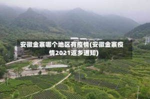 安徽金寨哪个地区有疫情(安徽金寨疫情2021返乡通知)