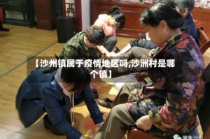 【沙州镇属于疫情地区吗,沙洲村是哪个镇】