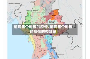 缅甸各个地区的疫情/缅甸各个地区的疫情防控政策