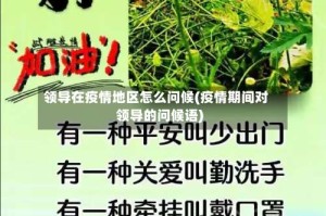 领导在疫情地区怎么问候(疫情期间对领导的问候语)