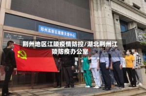 荆州地区江陵疫情防控/湖北荆州江陵防疫办公室