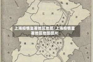 上海疫情显著地区地图/上海疫情显著地区地图图片