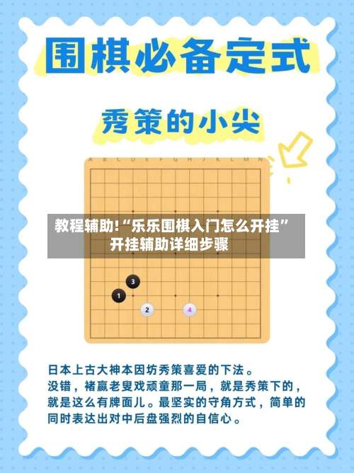 教程辅助!“乐乐围棋入门怎么开挂”开挂辅助详细步骤-第3张图片