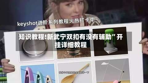 知识教程!新武宁双扣有没有辅助”开挂详细教程-第2张图片