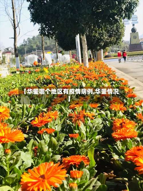 【华蓥哪个地区有疫情病例,华蓥情况】-第1张图片