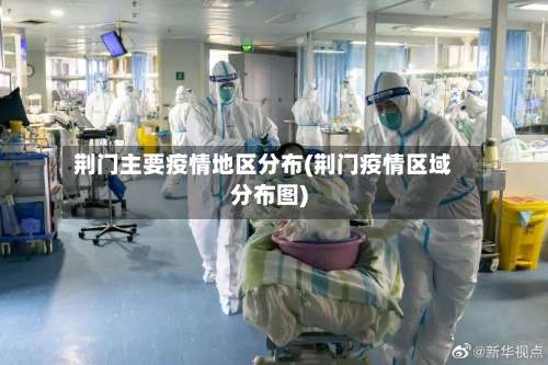 荆门主要疫情地区分布(荆门疫情区域分布图)-第2张图片