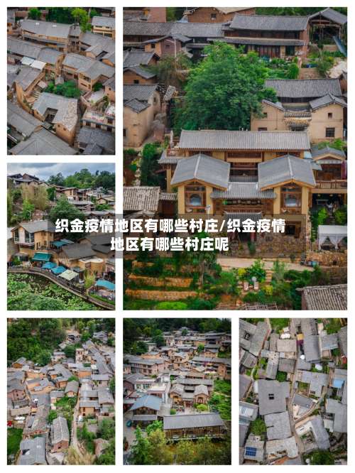 织金疫情地区有哪些村庄/织金疫情地区有哪些村庄呢-第2张图片