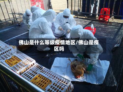 佛山是什么等级疫情地区/佛山是疫区吗-第2张图片