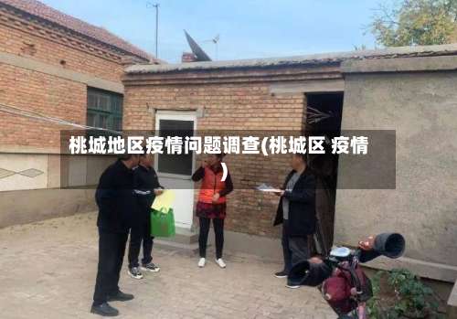 桃城地区疫情问题调查(桃城区 疫情)-第1张图片