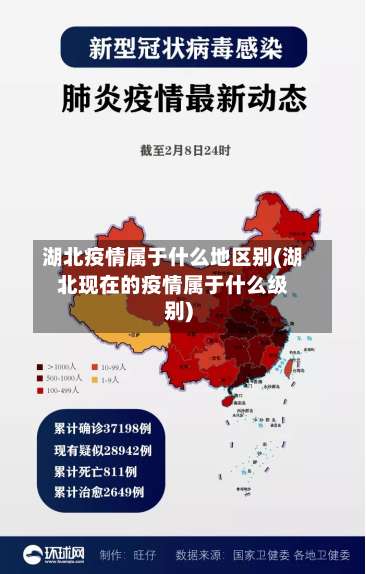 湖北疫情属于什么地区别(湖北现在的疫情属于什么级别)-第2张图片