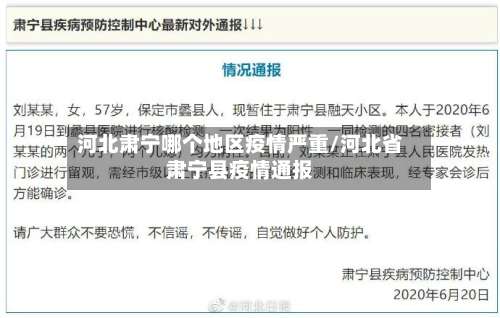 河北肃宁哪个地区疫情严重/河北省肃宁县疫情通报-第3张图片