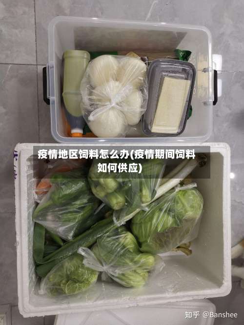 疫情地区饲料怎么办(疫情期间饲料如何供应)-第2张图片