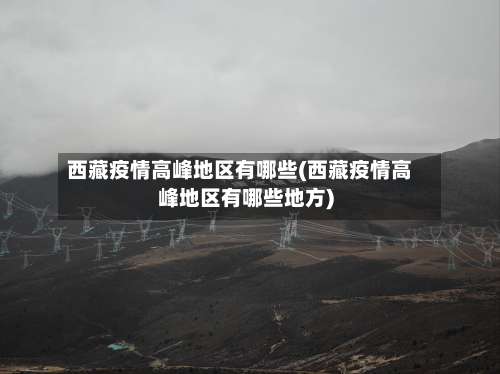 西藏疫情高峰地区有哪些(西藏疫情高峰地区有哪些地方)-第3张图片