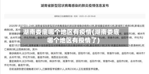 湖南娄底哪个地区有疫情(湖南娄底哪个地区有疫情了)-第3张图片