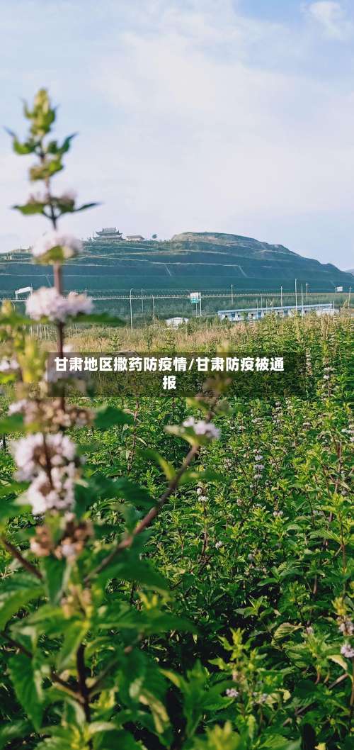 甘肃地区撒药防疫情/甘肃防疫被通报-第3张图片