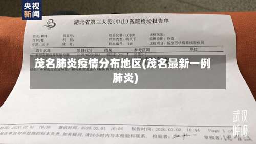 茂名肺炎疫情分布地区(茂名最新一例肺炎)-第3张图片