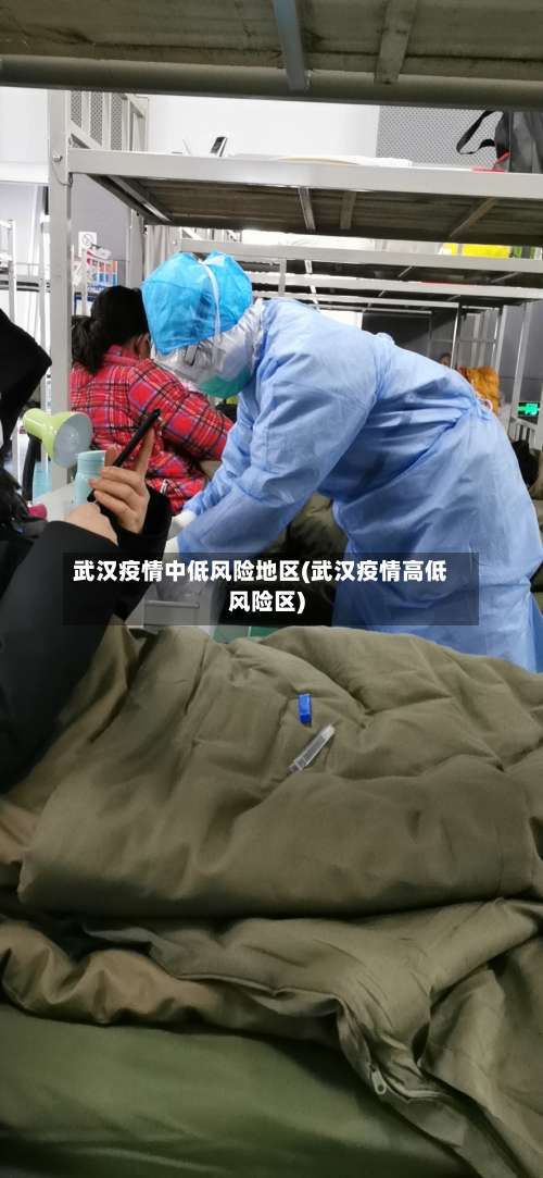 武汉疫情中低风险地区(武汉疫情高低风险区)-第1张图片