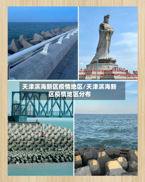 天津滨海新区疫情地区/天津滨海新区疫情地区分布-第1张图片