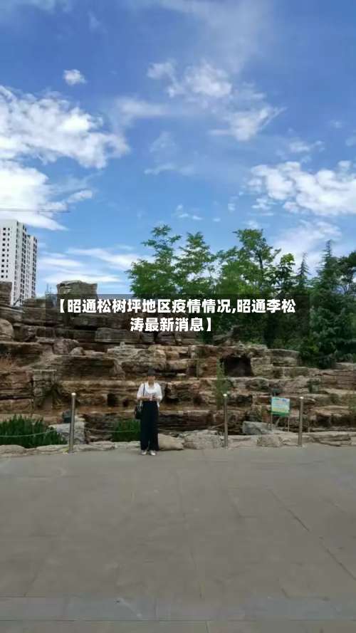 【昭通松树坪地区疫情情况,昭通李松涛最新消息】-第3张图片
