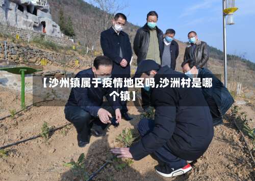 【沙州镇属于疫情地区吗,沙洲村是哪个镇】-第2张图片