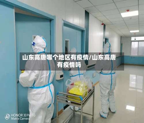山东高唐哪个地区有疫情/山东高唐有疫情吗-第1张图片